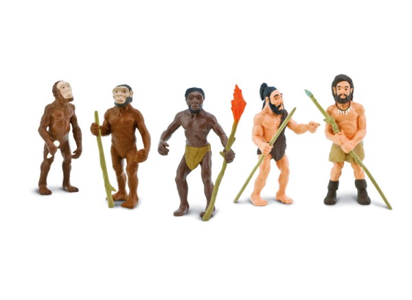 Evolution Mensch