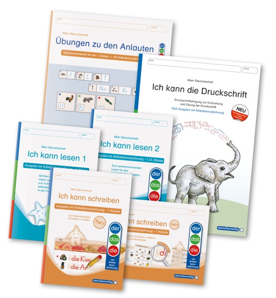 Lehrerprüfpaket 11 - DaZ / DemeK 6 Arbeitshefte