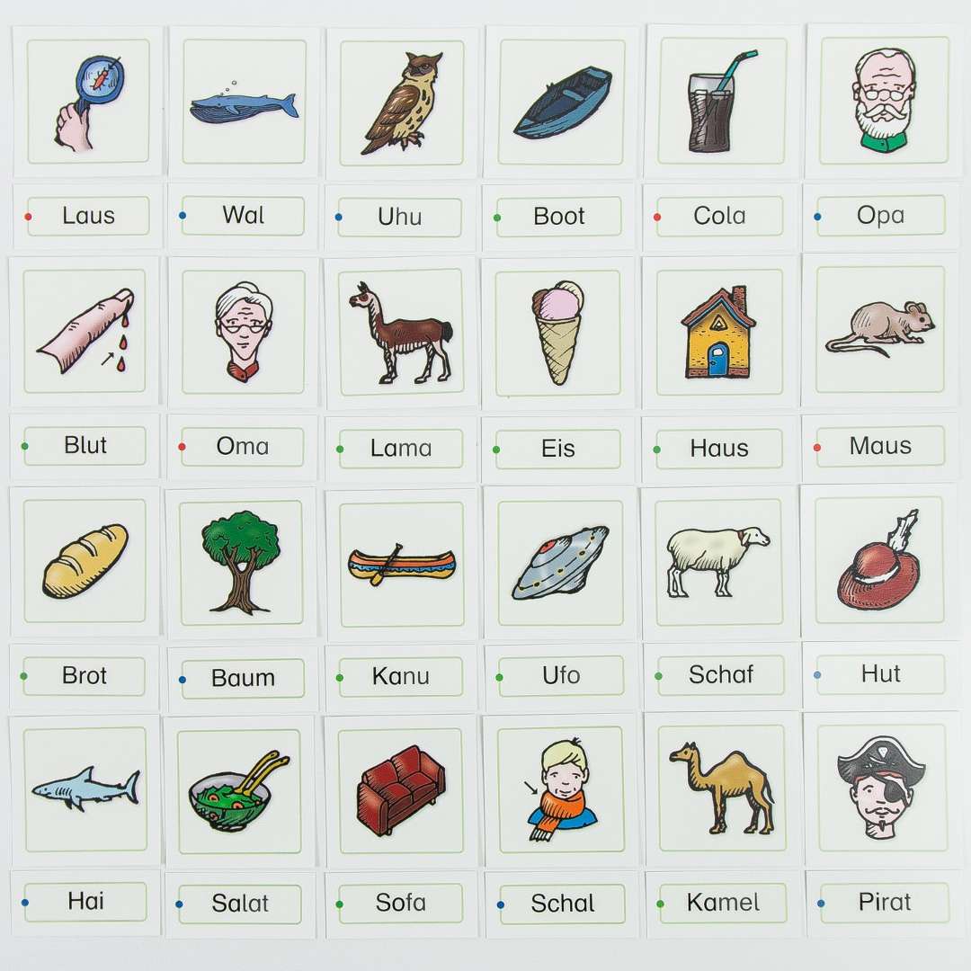 Meine Lesedose 1 - Lautgetreue Wörter | sternchenverlag